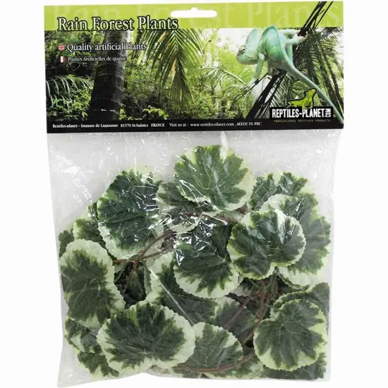 Снимка на Savannah Congo Jungle Vine - Декоративно растения за терариум, 2.6 м.