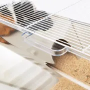 Снимка на Ferplast Maxi Duna Multy - Необорудвана клетка за зайци и морски свинчета, 99Х51,5Х36 см. 3