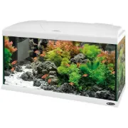 Снимка на Ferplast Aquarium Capri 80 LED WHITE - Аквариум с пълно оборудване, филтър и LED осветление - 680 x 31,5 x h 46,5 см - 100 литра.,бял 1