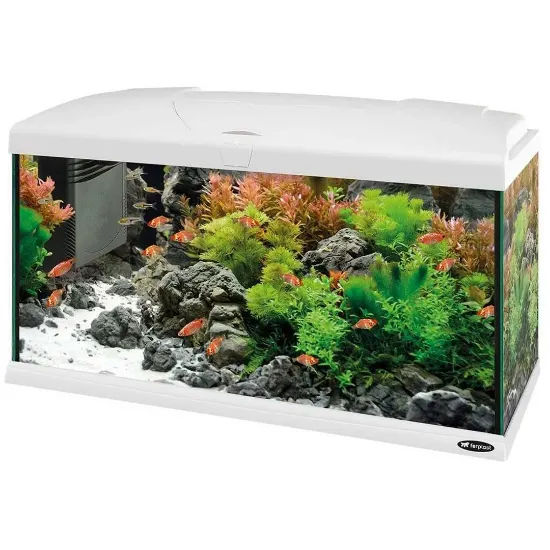Снимка на Ferplast Aquarium Capri 80 LED WHITE - Аквариум с пълно оборудване, филтър и LED осветление - 680 x 31,5 x h 46,5 см - 100 литра.,бял