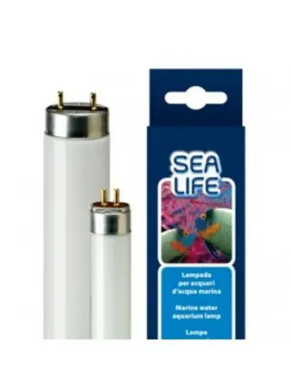 Снимка на Ferplast AQUACORAL 24W LAMP T5 - синя лампа за морски аквариум - 55 см.