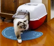 Снимка на Ferplast Prima Cat Toilet - Затворена котешка тоалетна с филтри с активен въглен,52,5 x 39,5 x h 38 см. зелена, червена, черна 2