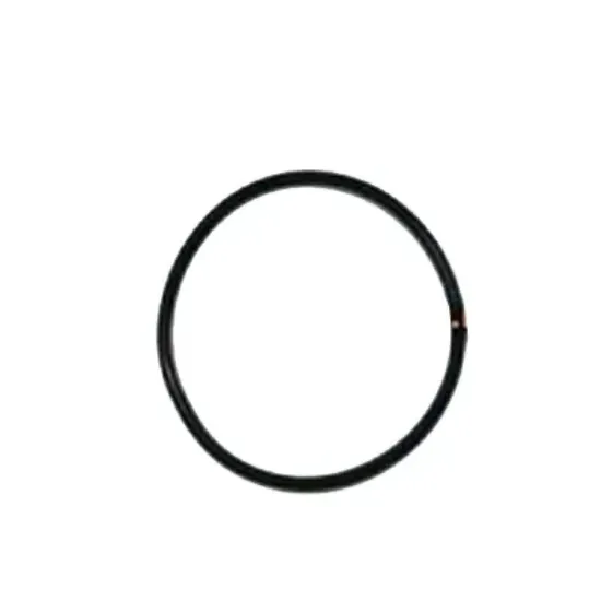Снимка на JBL CP e15/1900/1,2 O-ring - Уплътнения за ротор е15/1900/1,2