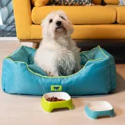Снимка на Ferplast Jazzy - Меко водоотблъсквщо легло с възглавница за кучета и котки,66 x 50 x h 20 см. - синьо 2