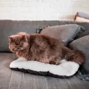 Снимка на Ferplast Relax F - Комфортен дюшек/легло за кучета и котки, 43/30 см. кафяво и бежаво 2