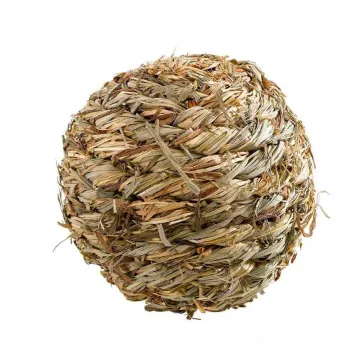 Показвай детайлите за Ferplast Ball for Rodents - Дървена шумкаща играчка за гризачи за гризане във форма на топка, 10 см. Снимка на Ferplast Ball for Rodents - Дървена шумкаща играчка за гризачи за гризане във форма на топка, 10 см.