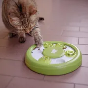 Снимка на Ferplast Interactive cat toy - Интерактивна котешка играчка с пространства за лакомства,Ø 23 x 4,2 см. 2