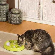 Снимка на Ferplast Interactive cat toy - Интерактивна котешка играчка с пространства за лакомства,Ø 23 x 4,2 см. 3