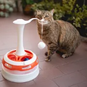 Снимка на Ferplast Torbado - Котешка играчка - движещо се в кръг топче и топчета в скривалище, Ø 24 x 34 см. 1