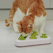 Снимка на Ferplast Trea - Интерактивна играчка за котки и кучета с пространство за лакомства, 24,5 x 22 x h 6 см. 3