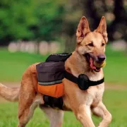 Снимка на Ferplast Dog Scout - Раница за кучета, A: 44÷85 см - B: 65÷108 см - C: 65÷108 см - L 30 см 1