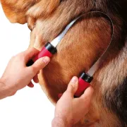 Снимка на Ferplast Dog currycomb - Триминг четка за късокосмести кучета за премахване на мъртва козина, 28,5 x 6,5 x h 3,4 см. 2
