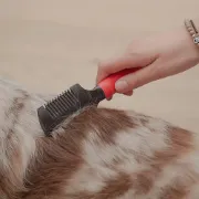 Снимка на Ferplast Dog double-sided comb with razor - Гребен за разресване на кучета с бръснач, 18,3 x 4,5 x h 1,8 см. 2