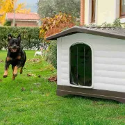 Снимка на Ferplast DogVilla Door - Пластмасова вратичка за къща Dogvilla 70, 19,5 x 0,2 x h 30,3 см. 1