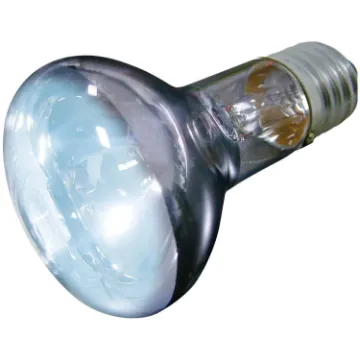 Показвай детайлите за Flamingo Daylight Spot Beam - Осветление, дневна светлина за терариуми, 50 W 1 - MyPetShop.bg Снимка на Flamingo Daylight Spot Beam - Осветление, дневна светлина за терариуми, 50 W 1