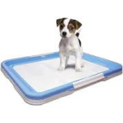 Снимка на Flamingo Trainer Medium Pads - Кучешка тоалетна + 10 подложки/ памперс, 60/40 см. 1