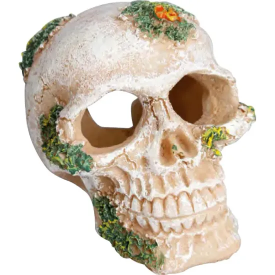 Снимка на Flamingo skull - Декорация за аквариуми във форма на череп, 6,5 x 8 x 6,5 см.