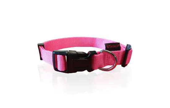 Снимка на Pet Interest Dog Collar Plain Line L - Регулируем нашийник за кучета, 2,5 * 47-70 см.