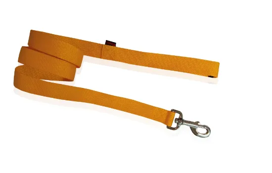 Снимка на Pet Interest Single Fluo Leash S - Модерен едноцветен повод за кучета, 1,5*120 см. - жълт