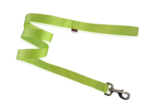 Снимка на Pet Interest Single Fluo Leash L - Модерен едноцветен повод за кучета, 2,5*120 см. - фосфорно зелено