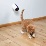 Снимка на Trixie Laser Pointer Moving Light - Забавна котешка играчка - лазерен лъч с различни опции на игра 2