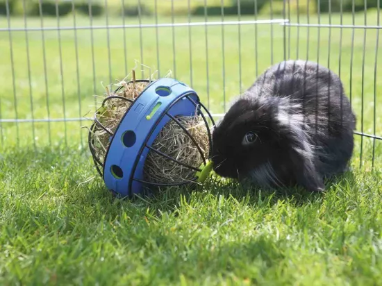 Снимка на Savic Bunny toy - Играчка-хранилка за сено + отделение за снаскс, за зайци, морски свинчета и други гризачи, 20/20/20 см.
