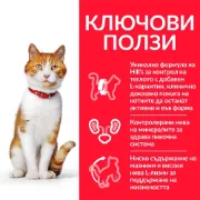 Снимка на Hill's Cat Mature Adult Sterilised - Пълноценна суха храна за кастрирани котки над 7 години, с пилешко месо, 1.5 кг. 2