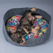 Снимка на Amiplay Hyge Large - Комфортно и модерно легло за кучета и котки, 61/53/21 см. 2