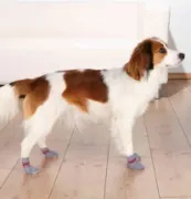 Снимка на Trixie Dog Socks L- XL - Меки чорапи за кучета с неплъзгаща се подметка, 2 броя 2