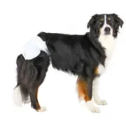 Снимка на Trixie Diapers for Female Dogs L - Памперси / пелени за женски кучета, регулируеми, 38-56 см - 12 броя 3