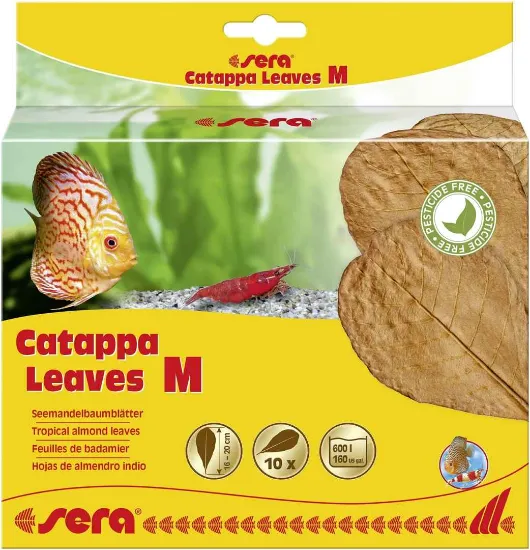 Снимка на Sera Catappa Leaves Medium - Листа от индийски бадем, натурален подобрител