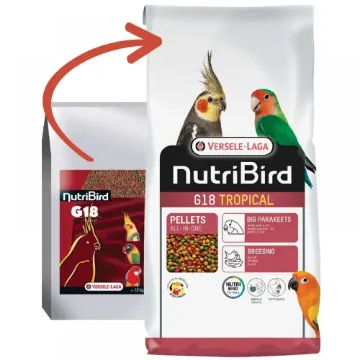 Показвай детайлите за Versele Laga - Nutribird G18 Tropical - Пълноценна храна за средни папагали при развъждане 10 кг. 1 - MyPetShop.bg Снимка на Versele Laga - Nutribird G18 Tropical - Пълноценна храна за средни папагали при развъждане 10 кг. 1