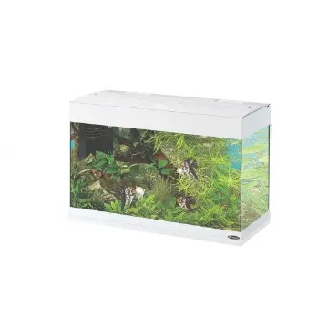 Показвай детайлите за Ferplast - Аквариум за риби Dubai 80 LED White 125 литра, 81х36х51 см./бял 1 - MyPetShop.bg Снимка на Ferplast - Аквариум за риби Dubai 80 LED White 125 литра, 81х36х51 см./бял 1