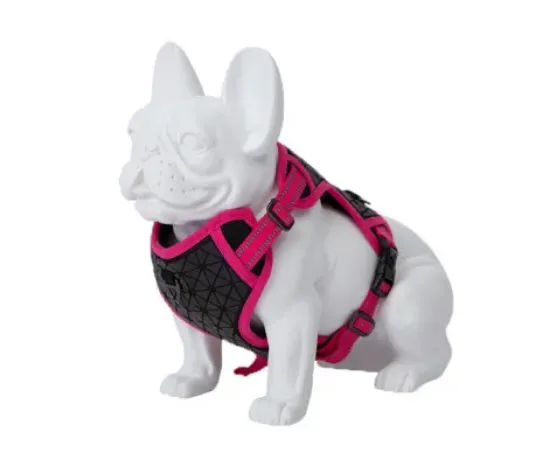 Снимка на Freedog Boreal Harness Large - Регулируем нагръдник за кучета с вратна обиколка от 43 см до 65 см и гръдна 45 см до 90 см./25 мм - розов