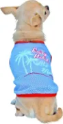 Снимка на Croci Top Enjoy - Модерна тениска за кучета, 40 см. - синя 2