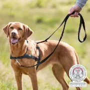 Снимка на Trixie Training Harness Lead'n'Walk Soft Medium - Large - Регулируем тренировъчен повод/ колан за кучета, с неопренова подплата, 55-60 см. - черен 1