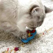 Снимка на Duvo Plus Smurfs - Плюшена играчка за котки с катнип, 9Х2Х9 см. 2