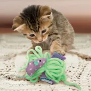 Снимка на KONG Pull A Partz Yarnz - Играчка за котки 3 в 1, платнена мишка и лента, и кълбо от прежда 3