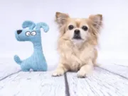 Снимка на Flamingo Toy Pebbles Dog Blue - Играчка за кучета от рипсено кадифе, 14.5 см L X 4.5 см W X 23 см H 2