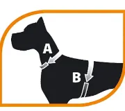 Снимка на Freedog Harness Nylon Basic - Регулируем нагръдник за кучета, 15 мм А:24 см - 38 см B:30 см - 47 см, черен 2