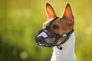 Снимка на Freedog Ergo Plus Muzzle Medium - Силиконов намордник за кучета 2