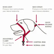 Снимка на Beaphar Gentle Leader - Повод срещу дърпане за кучета от средни породи, черен 3