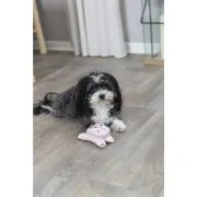 Снимка на Trixie Bunny - Забавна играчка за кучета във форма на плюшен заек, 12 см. 2