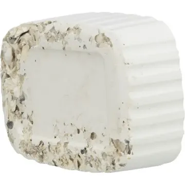 Показвай детайлите за Trixie Pecking Stone with seashells - Камък за птици с миди, 200 гр. 1 - MyPetShop.bg Снимка на Trixie Pecking Stone with seashells - Камък за птици с миди, 200 гр. 1