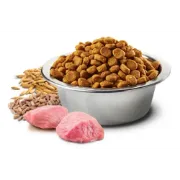 Снимка на N&D Dog Grain Free Tropical Selection Adult Medium & Maxi Lamb and Tropical fruits – Пълноценна суха храна за кучета над 1 година от средни и едри породи с агнешко, спелта, овес и тропически плодове - 2 кг. 2