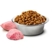 Снимка на N&D Dog Grain Free Tropical Selection Adult MINI Chicken and Tropical fruits – Пълноценна суха храна за кучета над 1 година от дребни породи, без зърно, с пилешко, спелта, овес и тропически плодове - 5 кг. 2