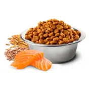 Снимка на N&D Dog Grain Free Tropical Selection Dog Adult MINI Salmon and Tropical fruits – Пълноценна суха храна за кучета над 1 година от дребни породи, със сьомга, спелта, овес и тропически плодове - 5 кг. 2