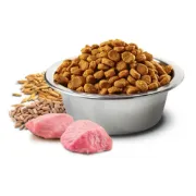 Снимка на N&D Dog Grain Free Tropical Selection Adult Medium & Maxi Chicken and Tropical fruits – Пълноценна суха храна за кучета над 1 година от средни и едри породи, с пилешко месо, спелта, овес и тропически плодове - 10 кг. 2