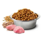 Снимка на N&D Cat Grain Free Tropical Selection Neutered Adult Chicken and Tropical fruits – Пълноценна суха храна за кастрирани котки над 1 година с пилешко месо, спелта, овес и тропически плодове - 1,500 кг. 2