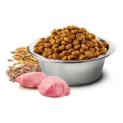 Снимка на N&D Cat Grain Free Tropical Selection Adult Chicken and Tropical fruits – Пълноценна суха храна за котки над 1 година с пилешко месо, спелта, овес и тропически плодове - 4+1 кг. 2